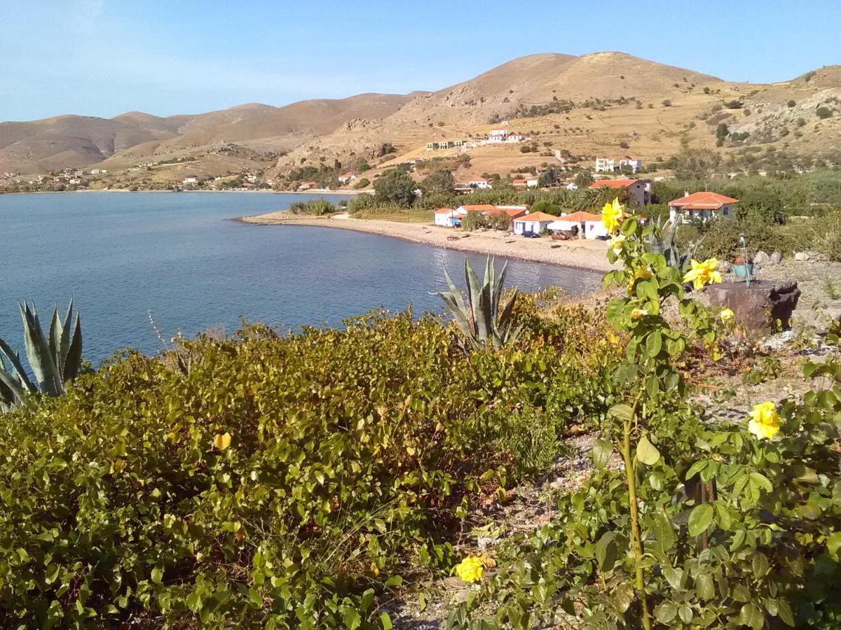 Enalion Apartments Agios Ioannis Kaspaka Bagian luar foto